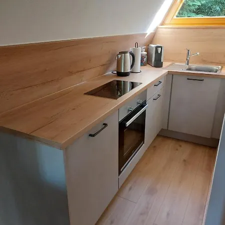 Appartamento Nurdachhaus Am Geyersberg *