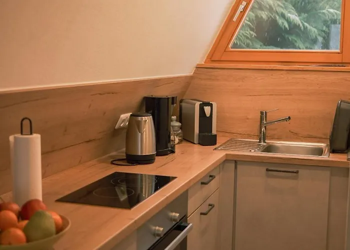 アパート Nurdachhaus Am Geyersberg *
