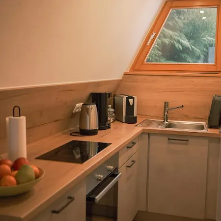 Apartamento Nurdachhaus Am Geyersberg *
