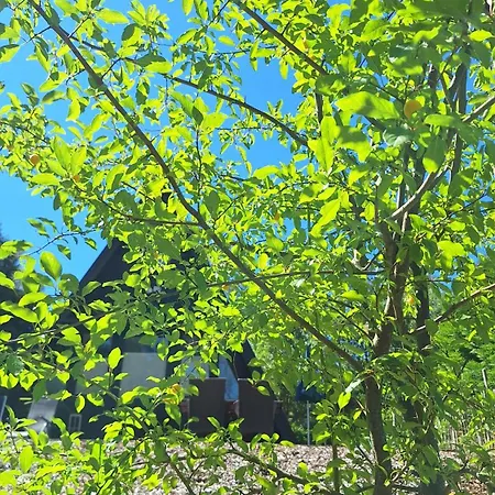 公寓 Nurdachhaus Am Geyersberg 弗赖翁