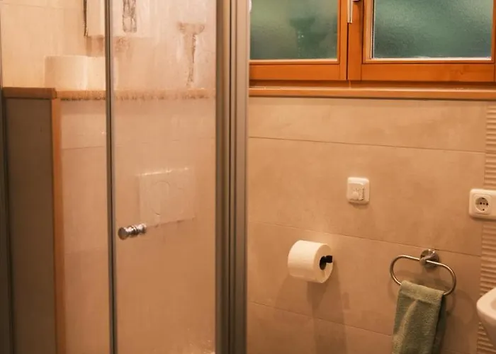 Apartment Nurdachhaus Am Geyersberg